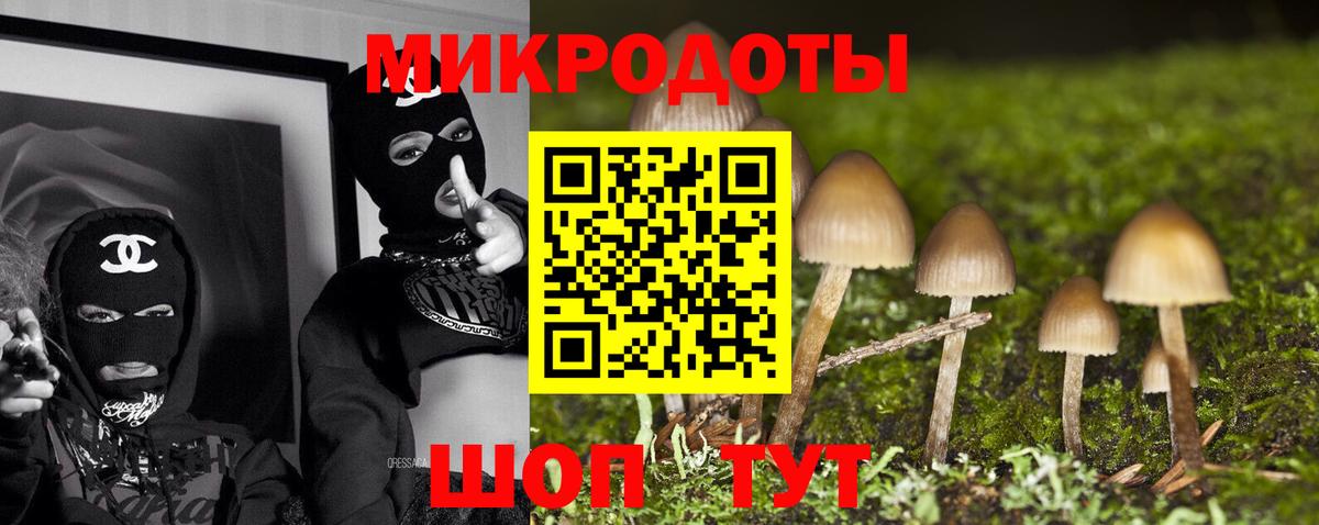 купить закладку  Галлюциногенные грибы Psilocybine cubensis  Моздок  Вход с VPN  Галлюциногенные грибы Psilocybine cubensis 